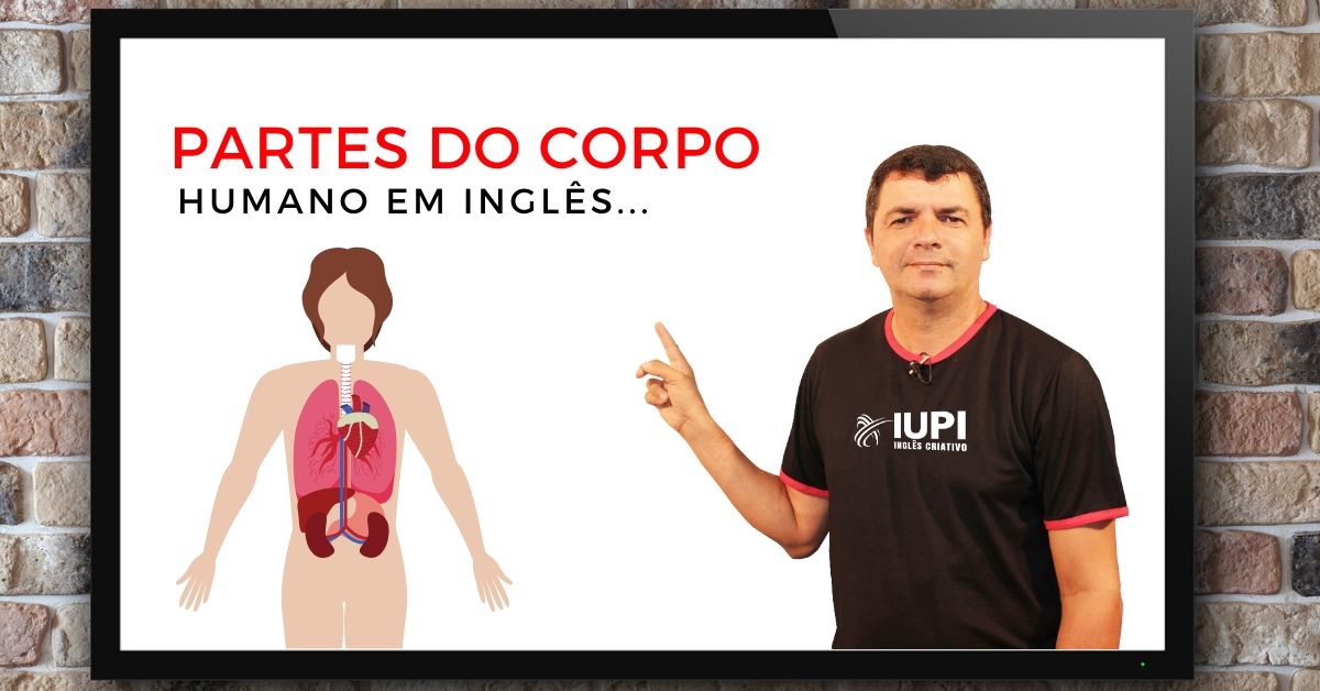 Infográfico: as partes do corpo humano em inglês